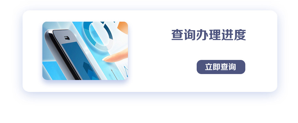 查询办理进度