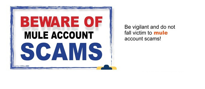 mule account scams