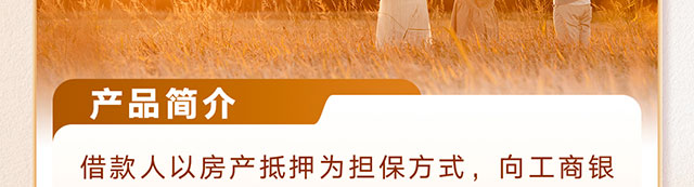 伙伴尊享贷经营