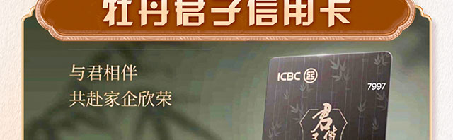 伙伴尊享贷消费