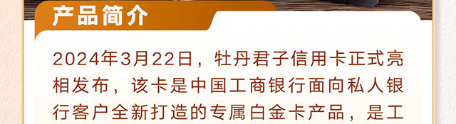 伙伴尊享贷消费