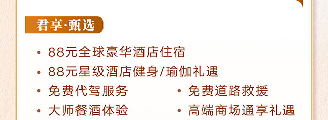 伙伴尊享贷消费