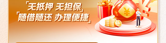 伙伴尊享贷消费